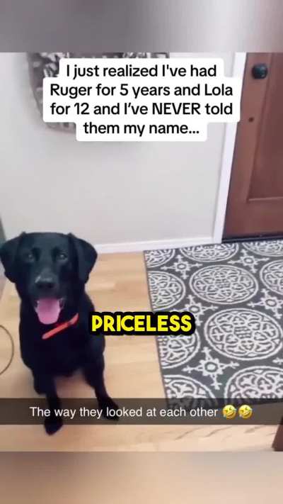 Dogs acting like humans