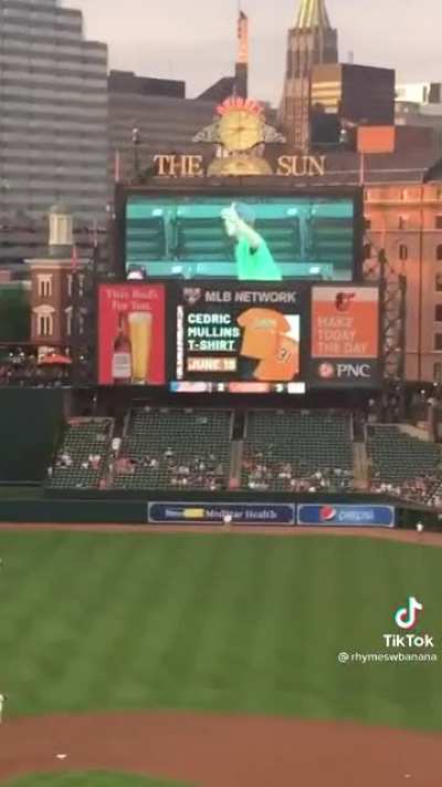 Baseball rage caught on the Jumbotron