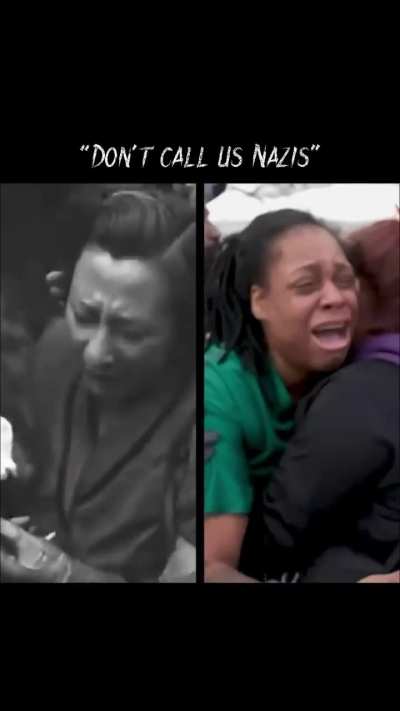 People keep comparing what we're seeing now to Nazi Germany. They're not wrong. The resemblance is undeniable.