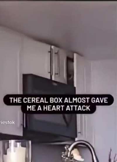 Cereal Box. The Master of Spying. Inducer of fear.
