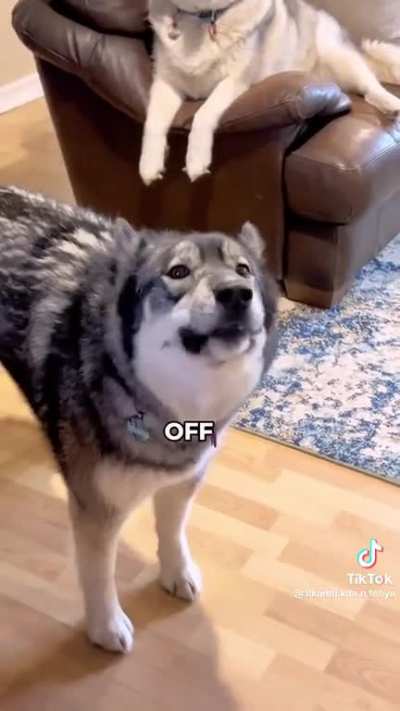AAAAaa