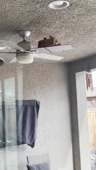 Update to my last post: Mr. &amp;amp; Mrs. Derp have accepted my offering of a fan blade nest box.