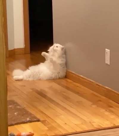 Drama queen