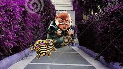 Harvest bring me his toenails