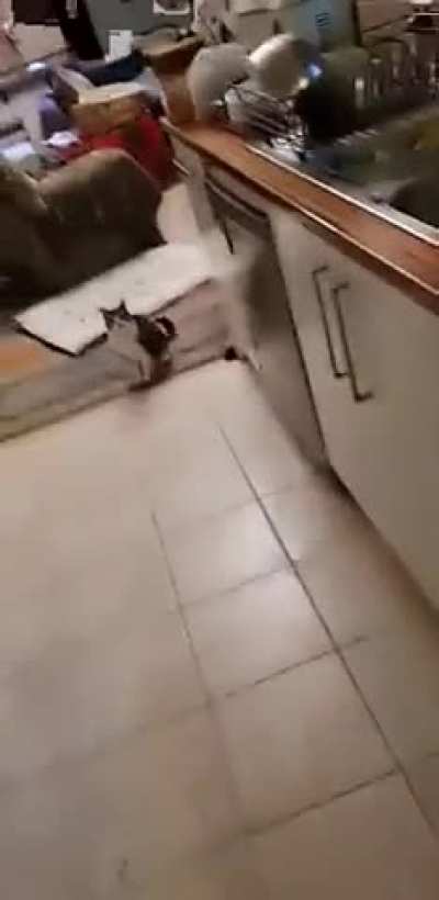The kind of videos my close "friend" sent to my ex right after we broke up She also told me he was always talking shit about me lmaooo