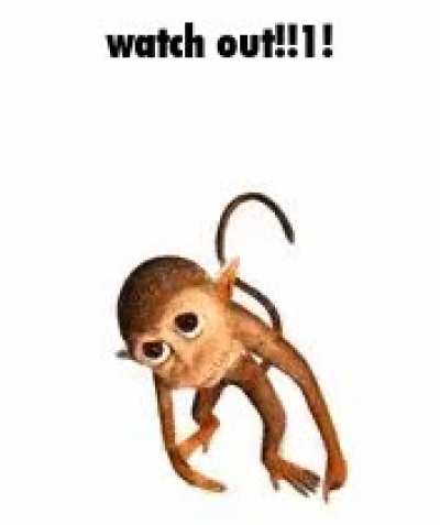 Monkey