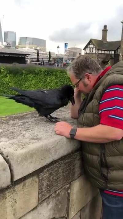 That is an incredible sound.