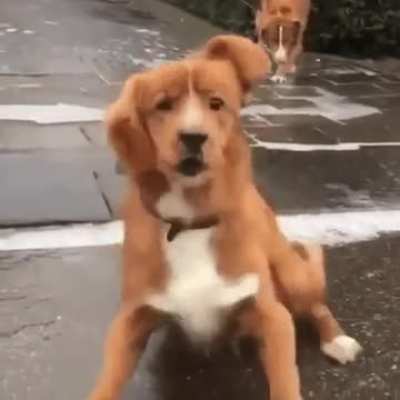 Mistakes were made