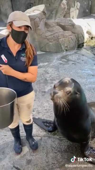 The loudest animals at the aquarium