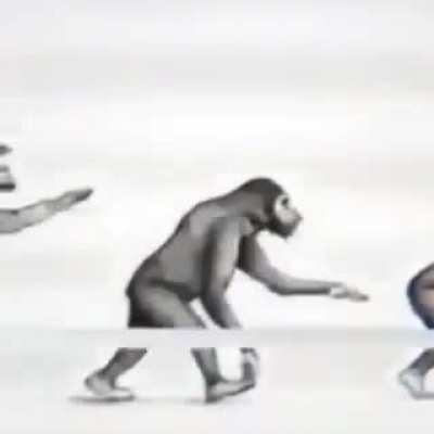 origin of humans