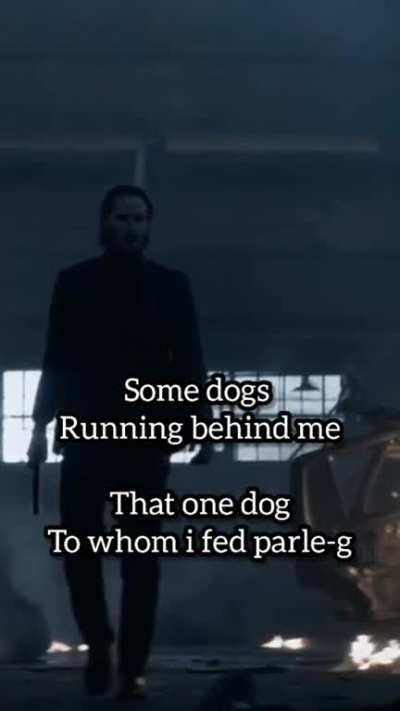 Are dogs loyal?&amp;lt;&amp;lt;&amp;lt;dogs are loyal