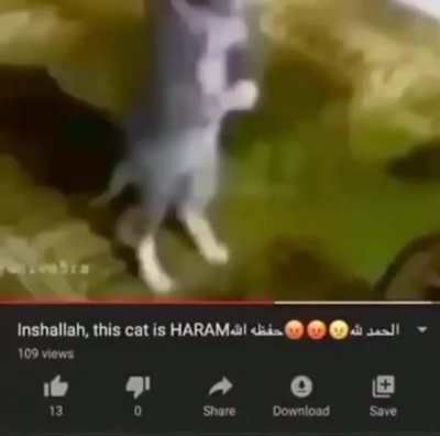 ._.JAJAJA._.