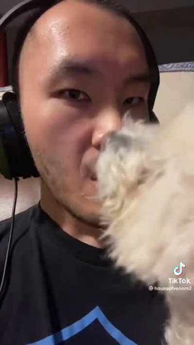 A Man&rsquo;s Best Friend