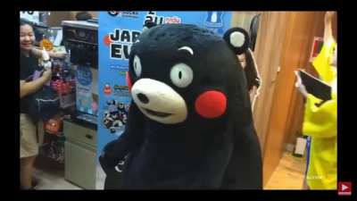 Cute bear makes mistake