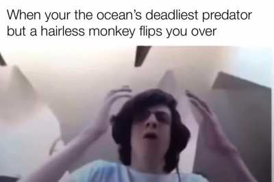 I’m 15 and this is yeet