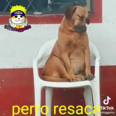 :v