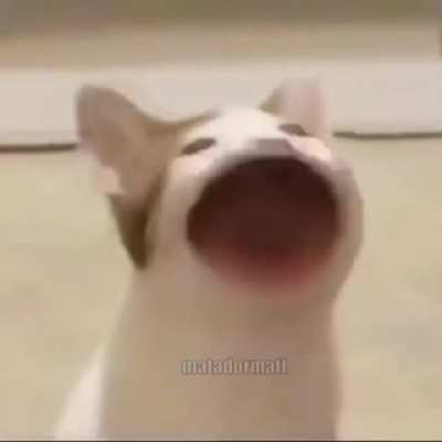 When you step on a Lego