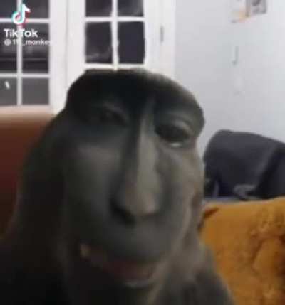 🤨
