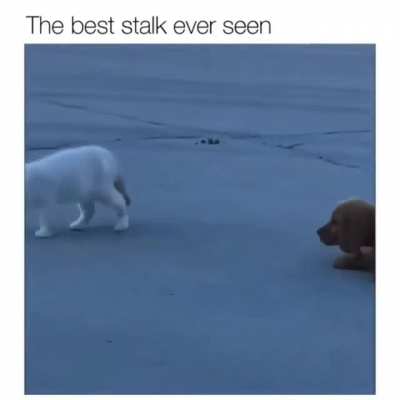 I'm not following you, promise