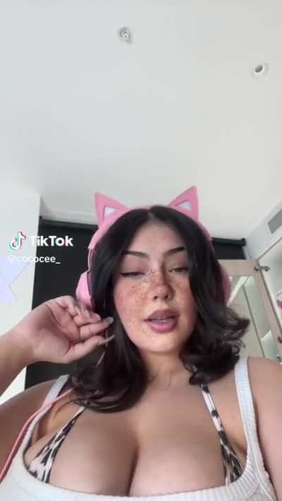 Meow ð» @cococee_