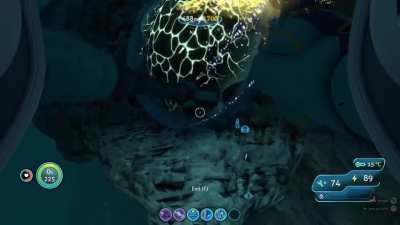 Crabsquids