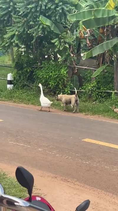 I wonder where they&rsquo;re going? 