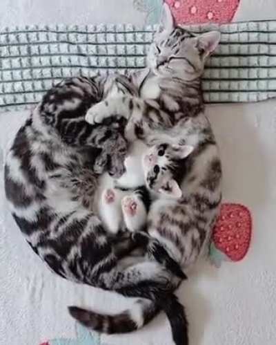 Aww