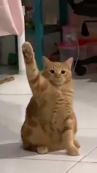 "Wha...what do I do now?"