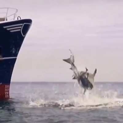 Never jumping in water again