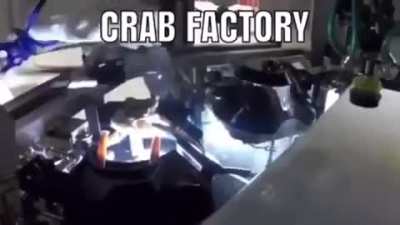 Crab factory