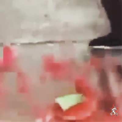 Melon BONK 🧟&zwj;♂️🍉🤯