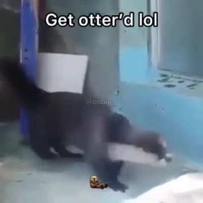 gotcha bitch