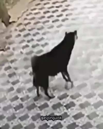 ÉPICO