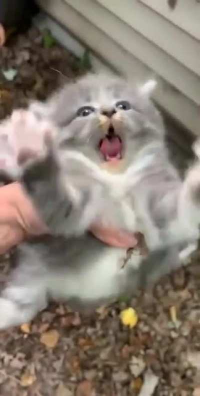 Oh, he&rsquo;s not happy