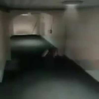 Pootis