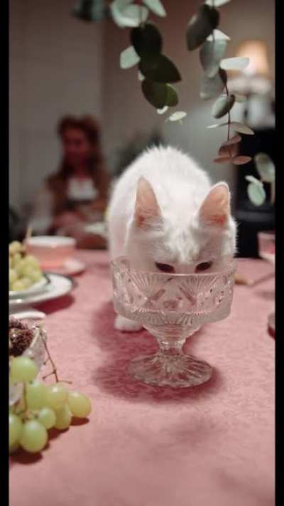 staying hydrated
