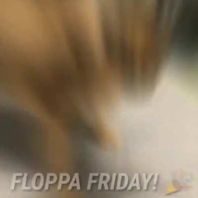 Floppa Friday 🎉