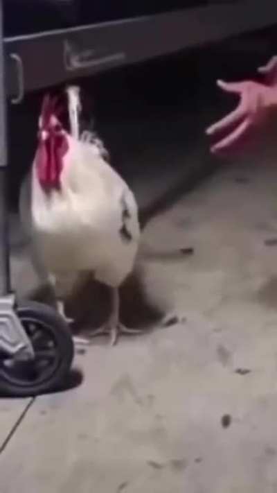 not this time