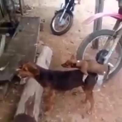 K&uuml;&ccedil;&uuml;k sikiyle koca g&ouml;t sikme hayali kuran uyeler;