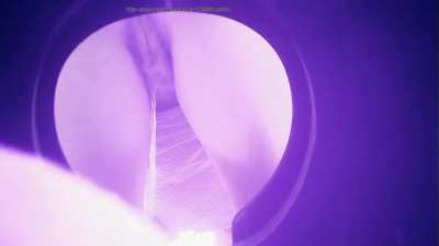 POV: You're a Porta Potty in a Park #2