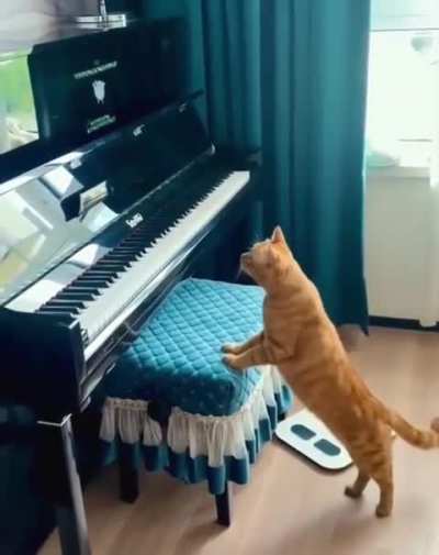 Sound-driver crashes cat.exe