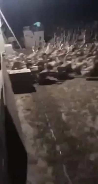Mother goose needs us