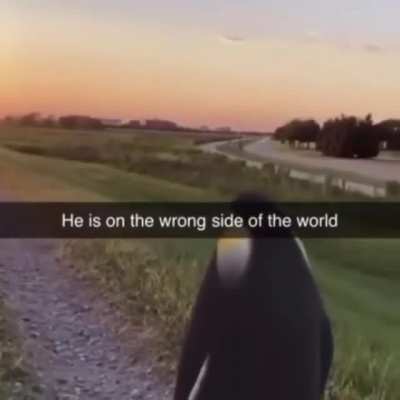 pengrule