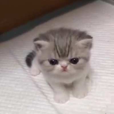 Vou apelar pra ganhar upvote