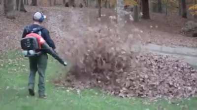 Once he finds out whats in the leaf pile . . .