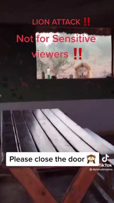 At this point it&rsquo;s just stupidity