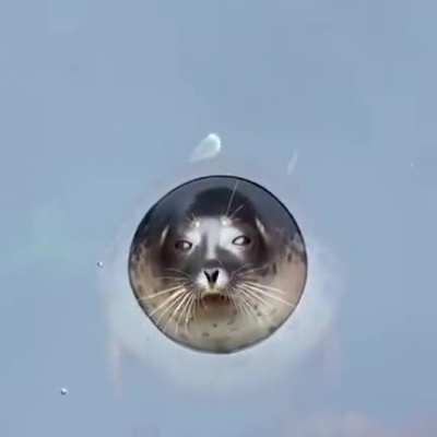 🔥 Perfect watertight seal