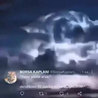 BORSA KAPLANI