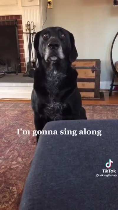 This was sent in my family group chat and thought this belonged here. Hopefully this hasn&rsquo;t been posted yet