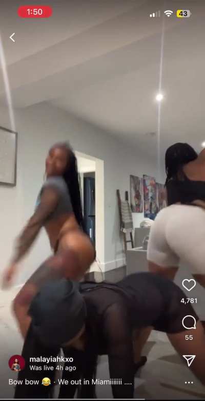 Livept2